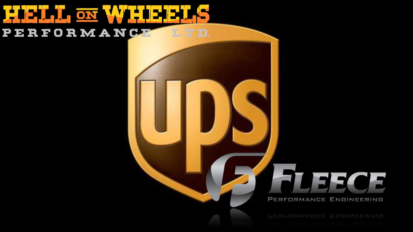 UPS Prepaid Core Return / Fleece Cheetah